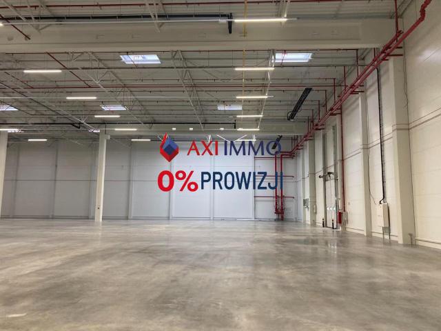 Komercyjne magazyn na wynajem, Kraków, Igołomska