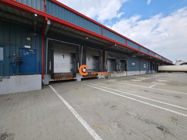Komercyjne magazyn na wynajem, Kraków, Podgórze