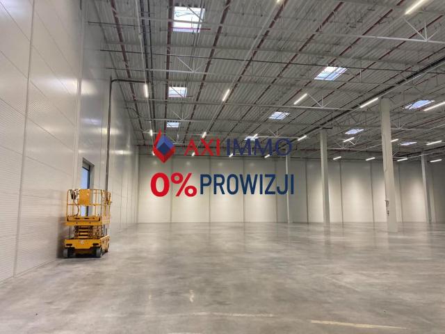 Komercyjne magazyn na wynajem, Kraków, Rybitwy