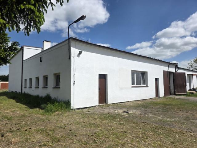 Komercyjne magazyn na wynajem, Leśna