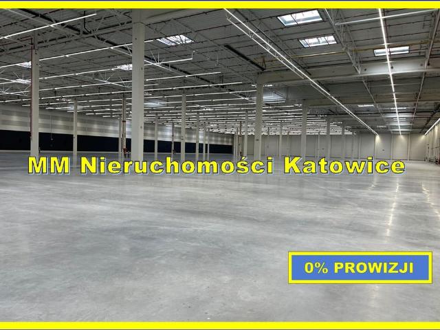 Komercyjne magazyn na wynajem, Mysłowice