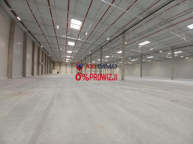 Komercyjne magazyn na wynajem, Łódź, Widzew