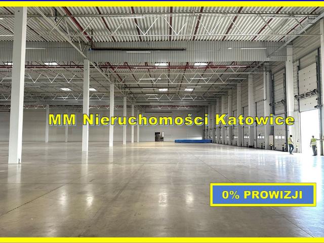 Komercyjne magazyn na wynajem, Ruda Śląska