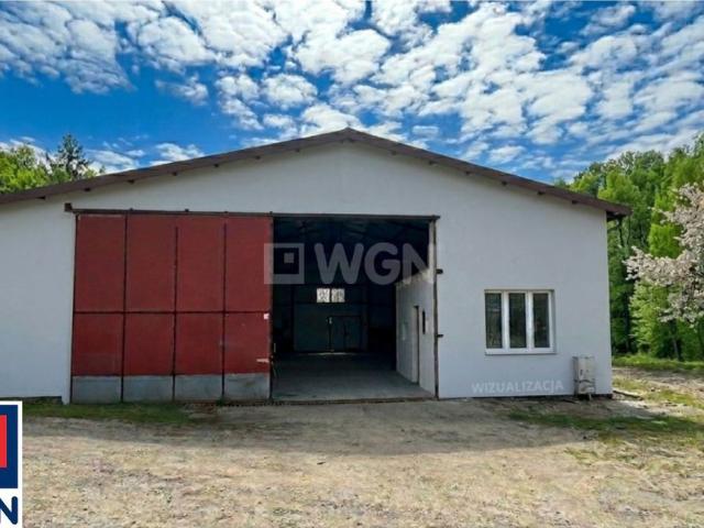 Komercyjne magazyn na wynajem, Słupsk, Miodowa