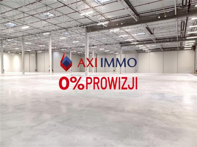 Komercyjne magazyn na wynajem, Szczecin