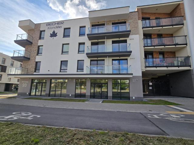Komercyjne biuro na wynajem, Kielce, Sady, Klonowa