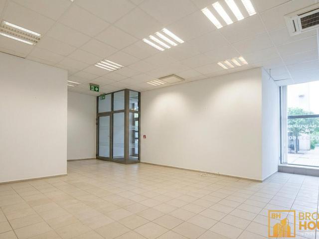 Komercyjne biuro na wynajem, Opole