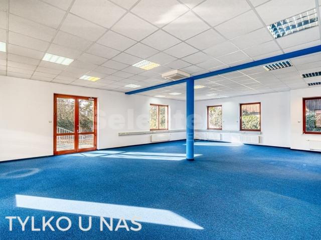 Komercyjne biuro na wynajem, Poznań, Grunwald