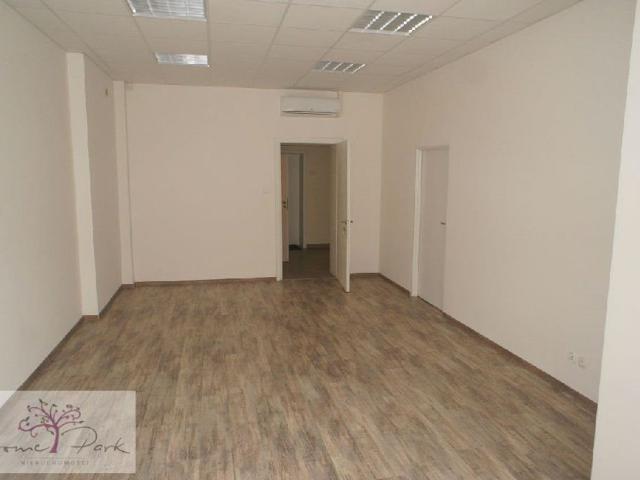 Komercyjne biurowiec na wynajem, Łódź, Śródmieście