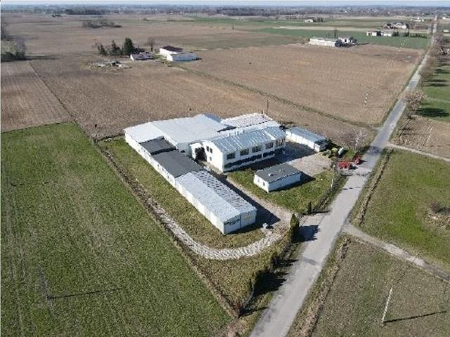 Komercyjne fabryka, zakład na sprzedaż