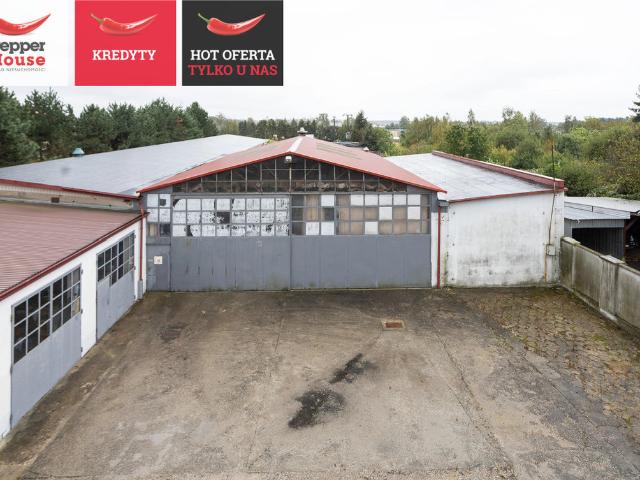 Komercyjne fabryka, zakład na sprzedaż