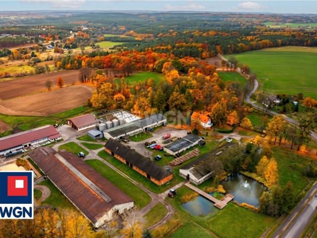 Komercyjne gospodarstwo rolne na sprzedaż
