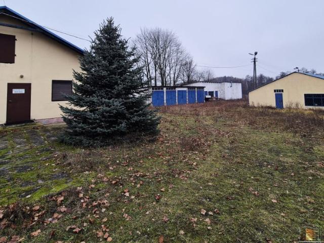 Komercyjne hala na sprzedaż