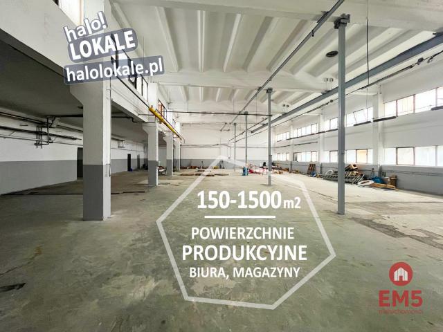 Komercyjne hala na wynajem