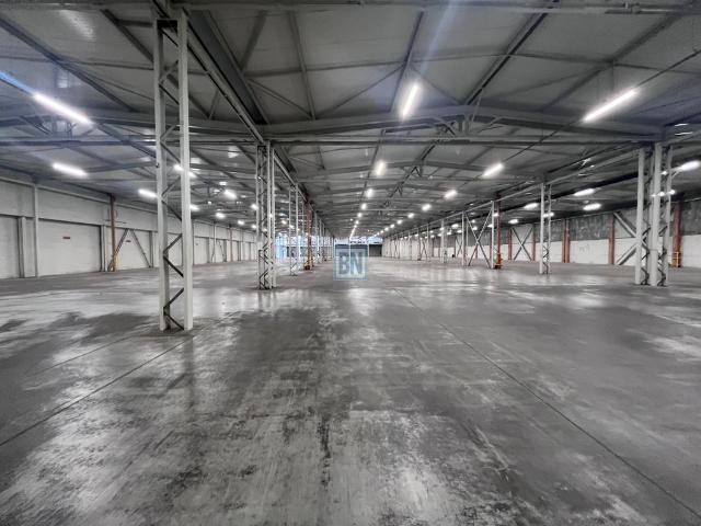 Komercyjne hala na wynajem, Zabrze