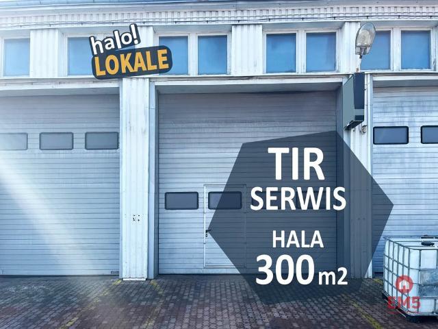 Komercyjne hala na wynajem, Białystok, Starosielce