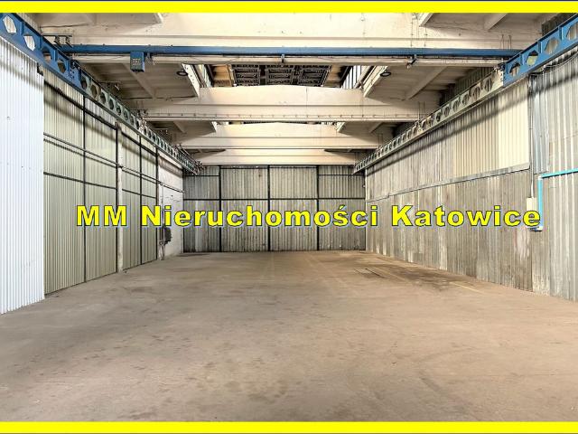 Komercyjne hala na wynajem, Katowice
