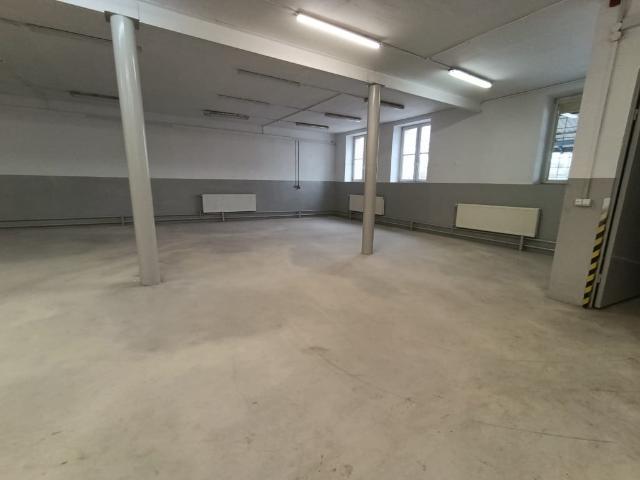 Komercyjne hala na wynajem, Łódź, Górna, Milionowa