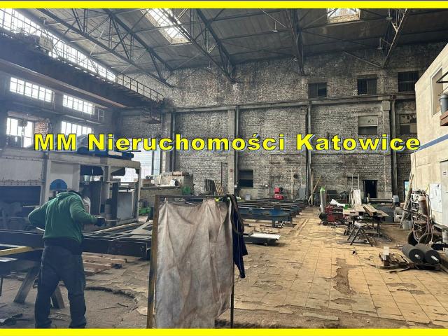 Komercyjne hala na wynajem, Sosnowiec