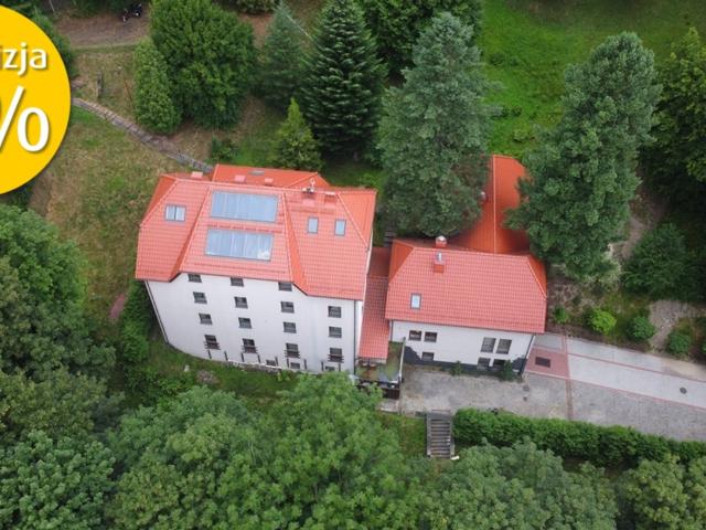 Komercyjne lokal na sprzedaż, Pokrzywna