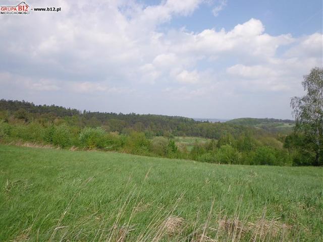 Komercyjne lokal na sprzedaż