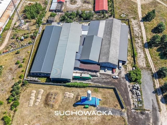 Komercyjne magazyn na sprzedaż, Leśna