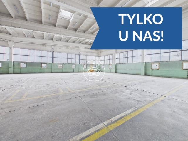 Komercyjne magazyn na sprzedaż, Toruń, Rubinkowo