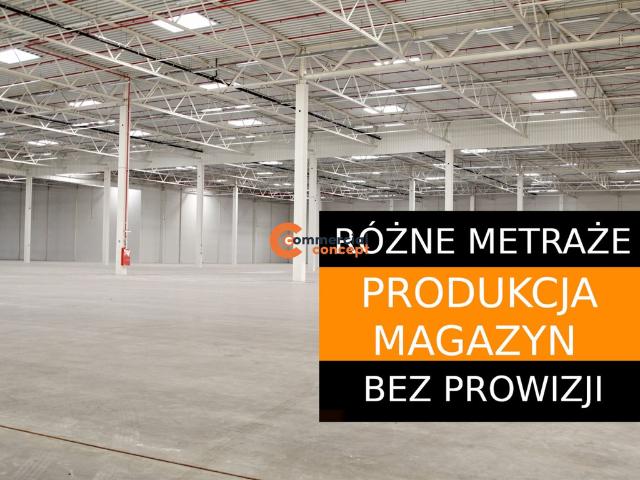 Komercyjne magazyn na wynajem