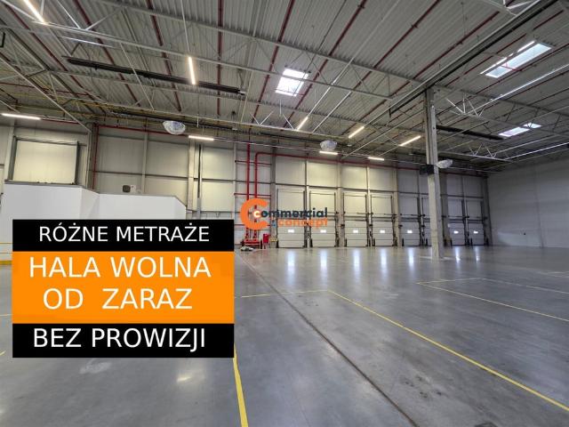 Komercyjne magazyn na wynajem