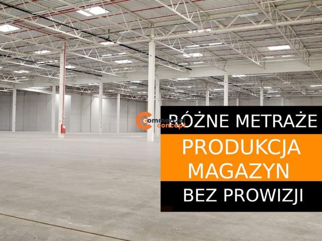 Komercyjne magazyn na wynajem