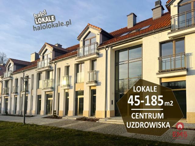 Komercyjne lokal na wynajem