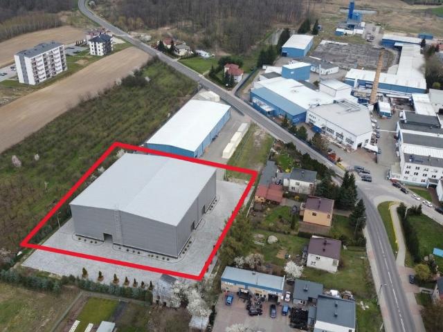 Komercyjne lokal na wynajem