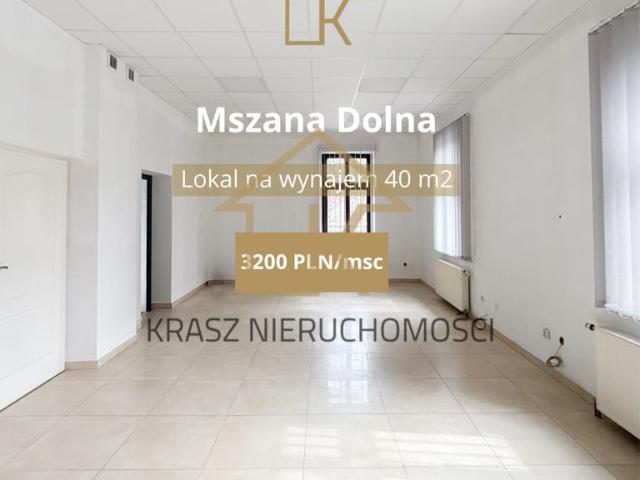 Komercyjne lokal na wynajem