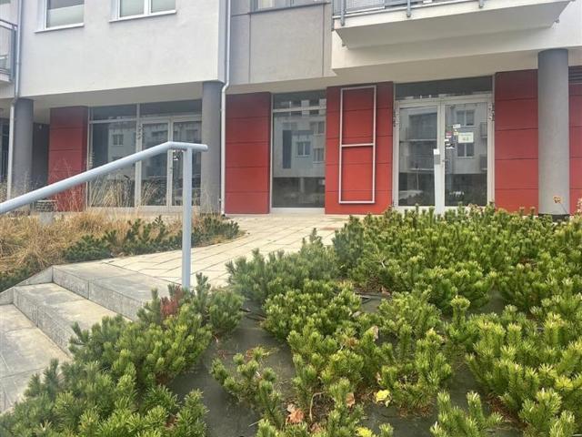 Komercyjne lokal na wynajem, Gdynia, Chwarzno Wiczlino, Felińskiego