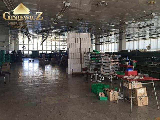 Komercyjne lokal na wynajem, Gdynia, Chylonia, Hutnicza