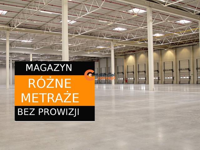 Komercyjne magazyn na wynajem, Katowice