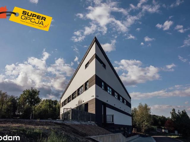 Komercyjne lokal na wynajem, Kraków, Swoszowice