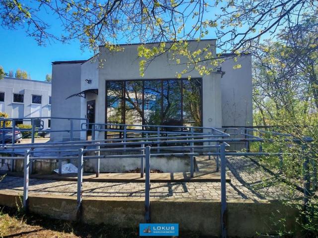 Komercyjne lokal na wynajem, Łódź, Polesie