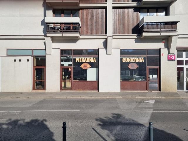 Komercyjne lokal na wynajem, Łódź, Śródmieście