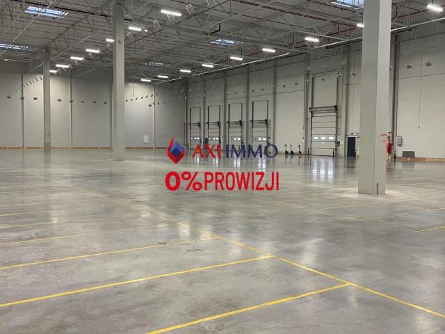 Komercyjne magazyn na wynajem, Łódź, Widzew