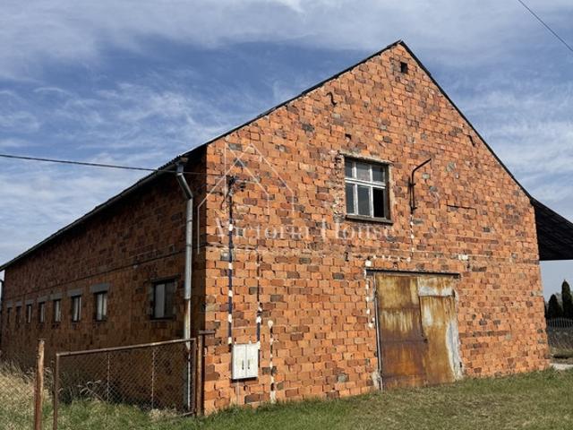 Komercyjne magazyn na wynajem, Opole