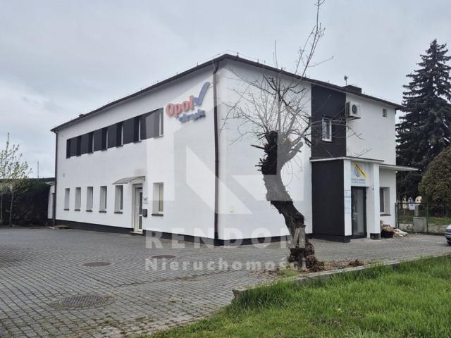 Komercyjne lokal na wynajem, Opole
