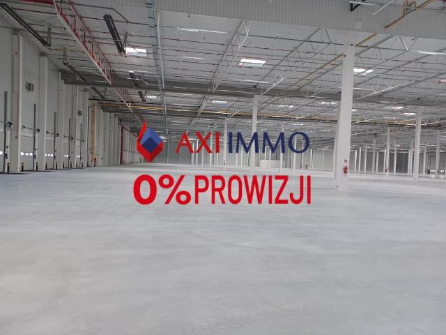 Komercyjne magazyn na wynajem, Szczecin