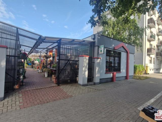 Komercyjne lokal na wynajem, Włocławek, Śródmieście