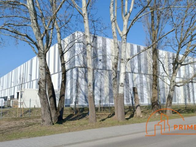 Komercyjne magazyn na wynajem, Warszawa, Ursynów, Osmańska