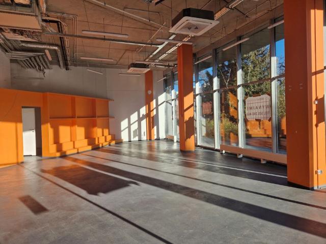 Komercyjne lokal na wynajem, Wrocław, Krzyki