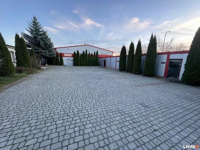 Komercyjne lokal na wynajem, Tarnobrzeg