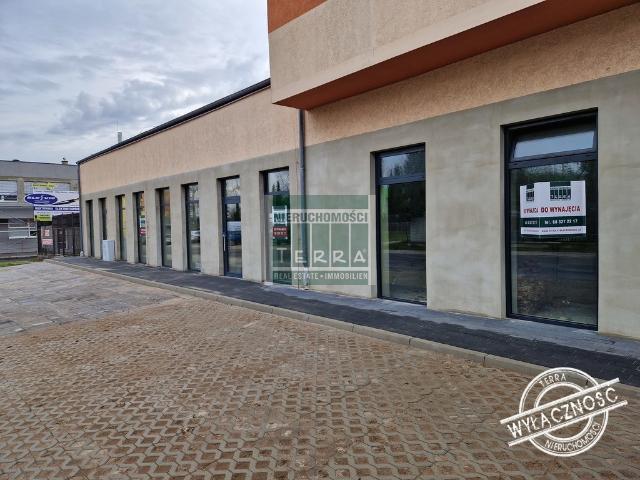Komercyjne lokal na wynajem, Zielona Góra