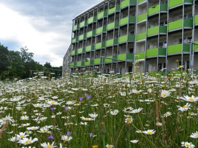 Komfortable 2 Zimmer Wohnung mit Südbalkon im modernen Mehrgenerationenhaus