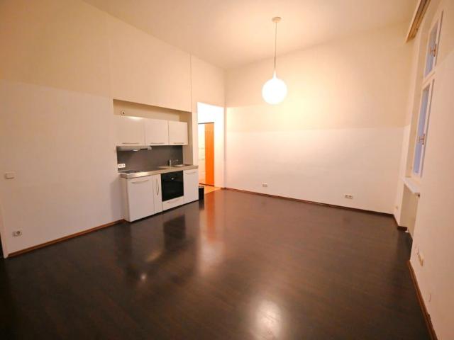 Komfortables Wohnen mit Geschichte – 1 Zimmer Wohnung mit Donaublick in Linz Urfahr